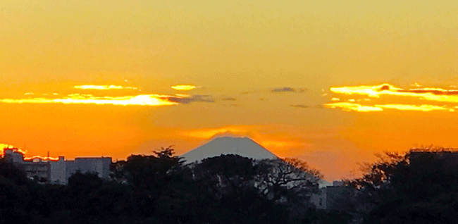 富士山,ラッピング協会からの景色