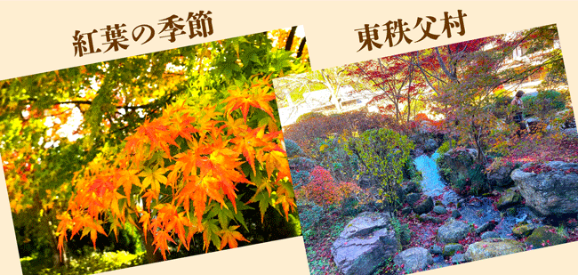 和紙の里,東秩父村,ラッピング協会プログ