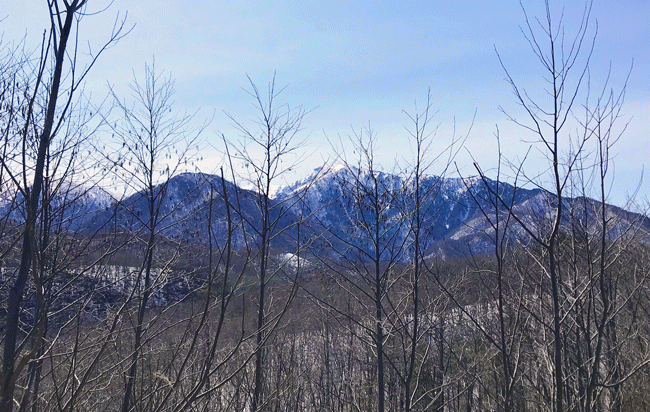 冬山の景色