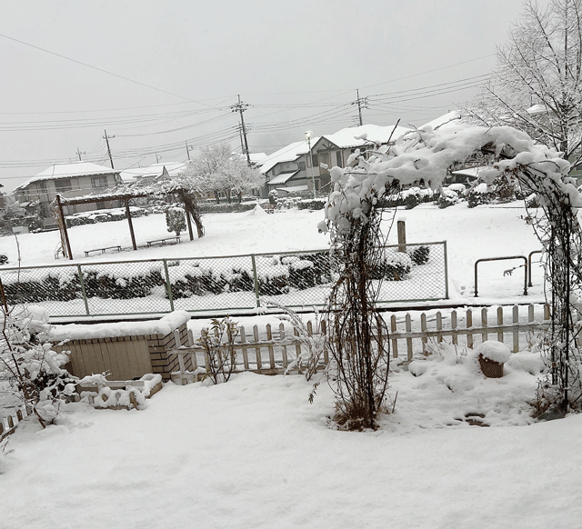 小川町公園の雪景色