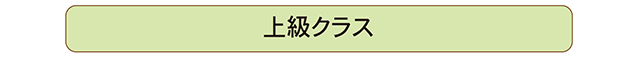 ビジネスラッピング,上級クラス,アイコン