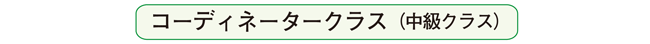 コーディネータークラス（中級クラス）のアイコン