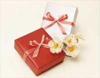 ギフトラッピング,ギャラリー,ラッピング協会