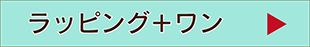 ラッピング＋ワンの紹介